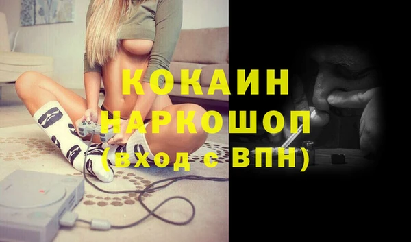 стафф Арсеньев