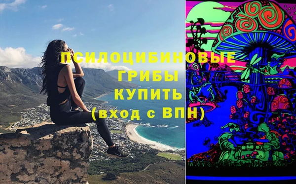 шишки Наволоки