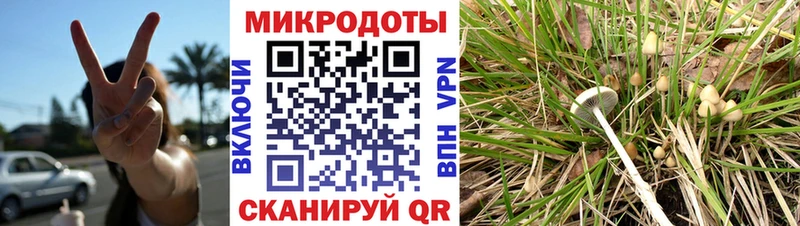 наркошоп  Верхняя Салда  Псилоцибиновые грибы мухоморы 